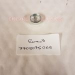 Renault 7703075065 automotive cup core plug