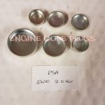 Citroen 2.0 16v EW10 Core Plug Set C4 C5 C8 Evasion Jumpy