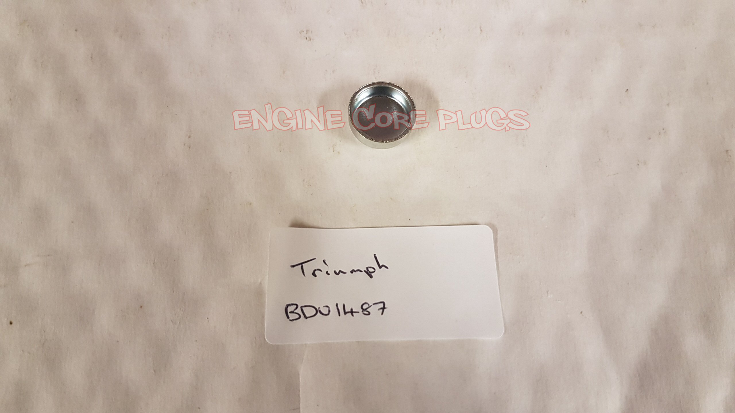 Triumph part number BDU1487