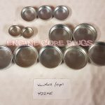 Vauxhall Opel GM 2.2 16v Y22XE Sintra Omega Frontera Core Plug Set