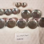 Vauxhall Opel GM 2.2 16v Z22XE Sintra Omega Frontera Core Plug Set
