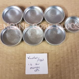 Vauxhall Astra Corsa Tigra 1.4 16v X14XE Ecotec engine Core plug set