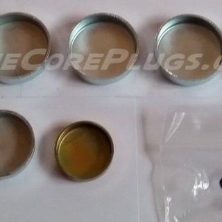 Bedford Vauxhall AstraMax Cavalier 1.6 1.7 GM 8V N/A Diesel automotive core plug set